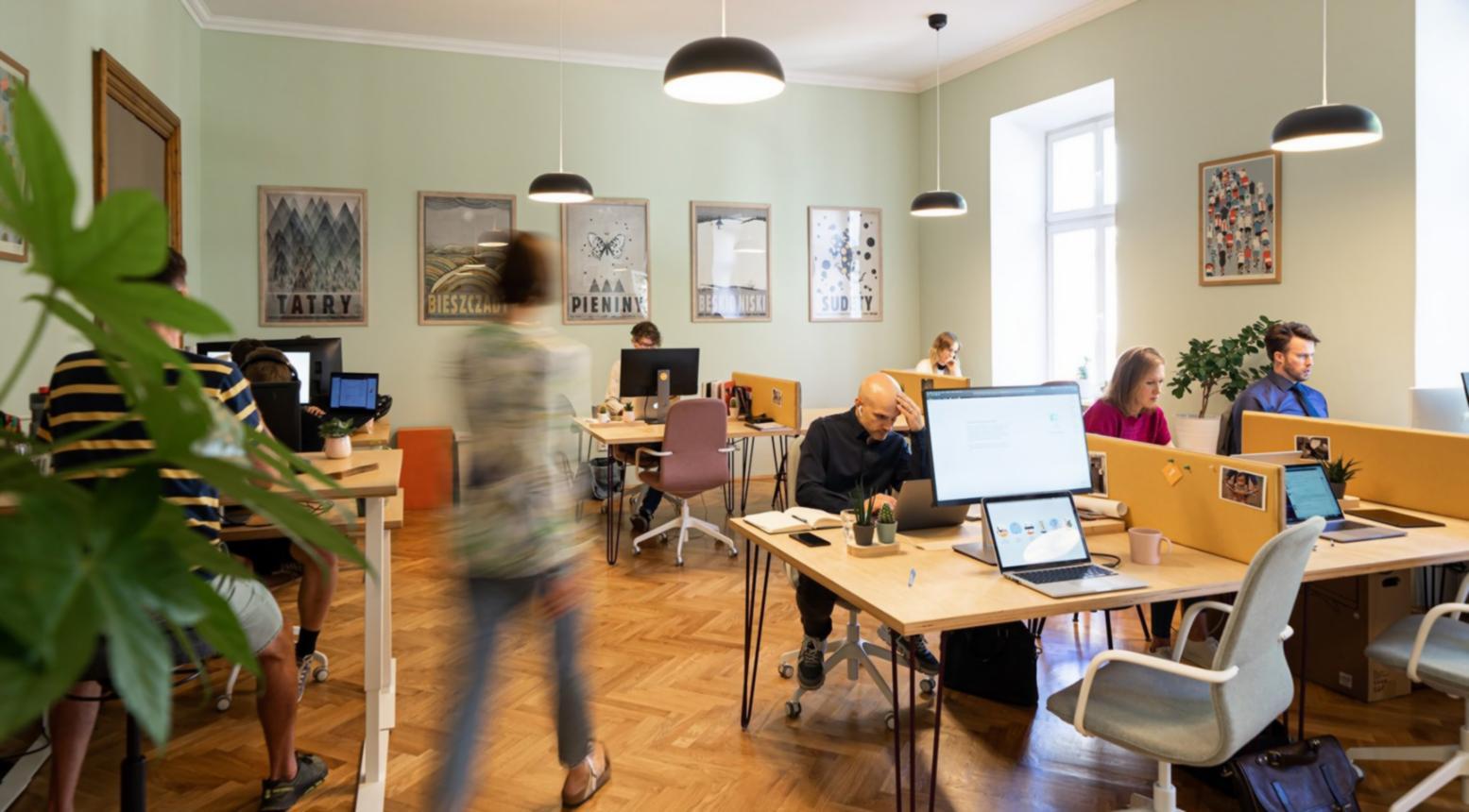 SEO denetim araçları ekran görüntüsü